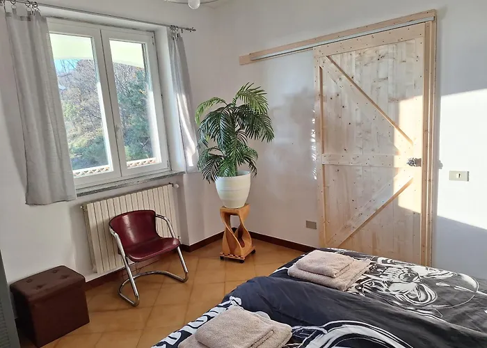 Moto Pareto B&B