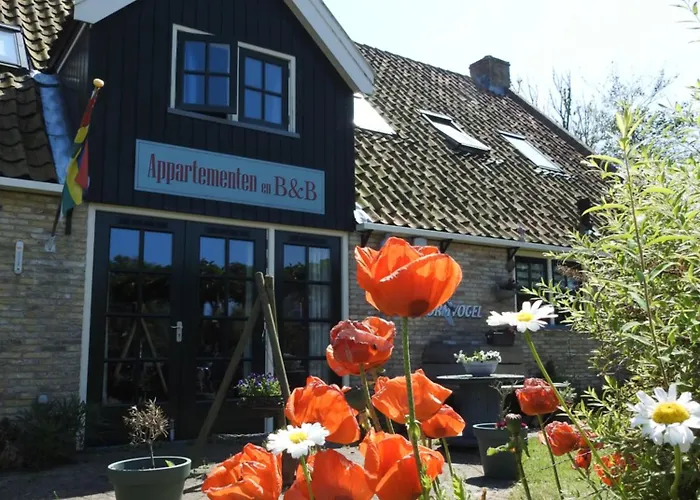 De Stormvogel
