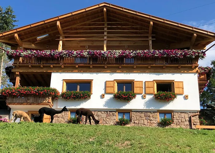 B&B Belvedere