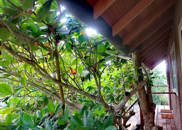 Afro Beach Eco Resort Butre