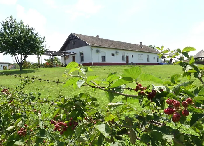 Tisza White House