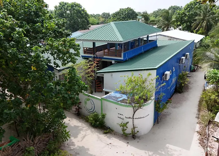 Leaf Fish Guesthouse Maldives Keyodhoo 