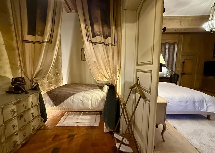 Demeure Des Vieux Bains Bed & Breakfast Provins