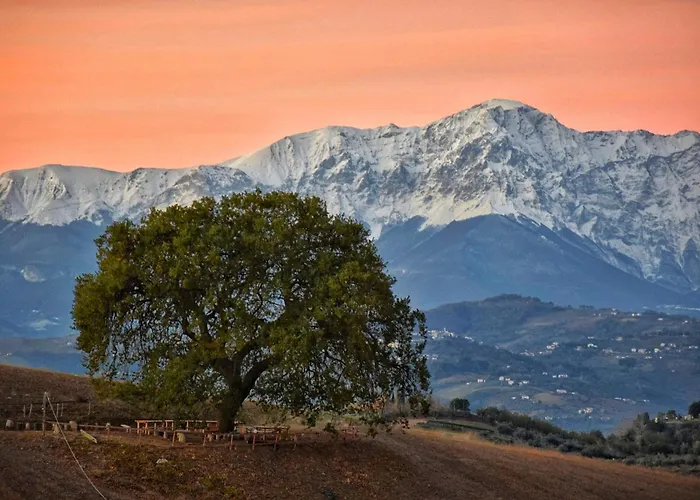 B&B Gli Amici Del Tubarello Roseto Degli Abruzzi