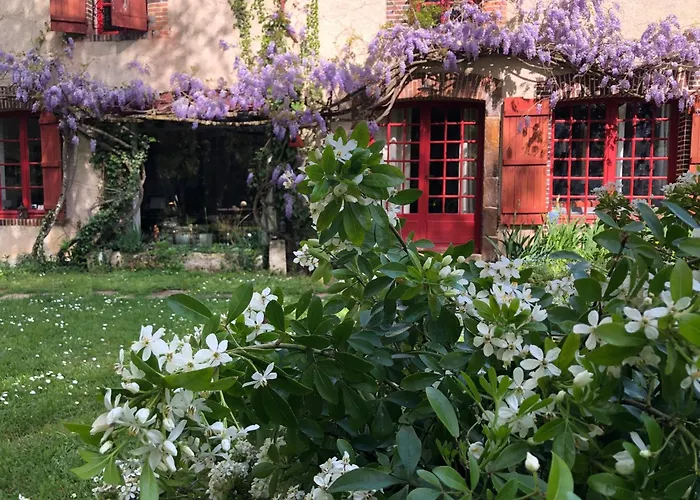 Domaine de l'Ocrerie