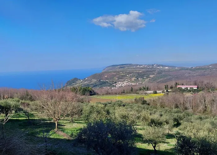 Uliveto Garden