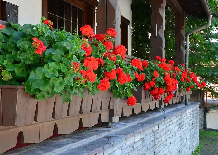 Bed and Breakfast Garni Sayonara San Vigilio Di Marebbe