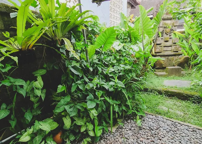 Aura Guesthouse