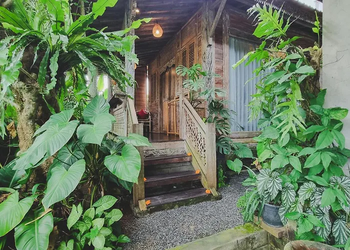 Aura Guesthouse
