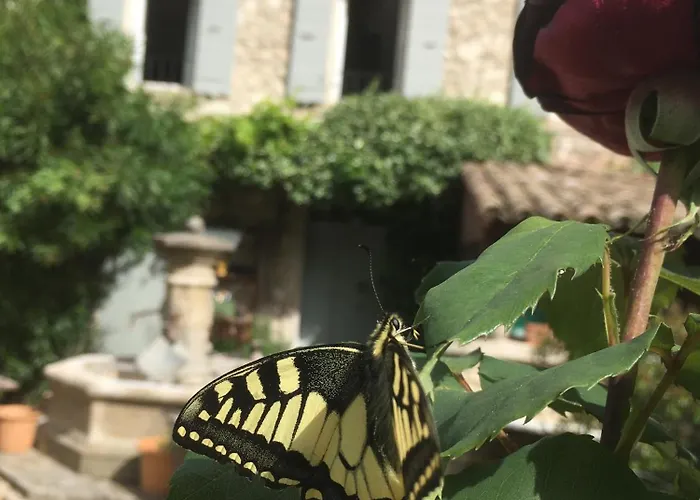 Bed and breakfast La Figuiere Fontaine de Vaucluse