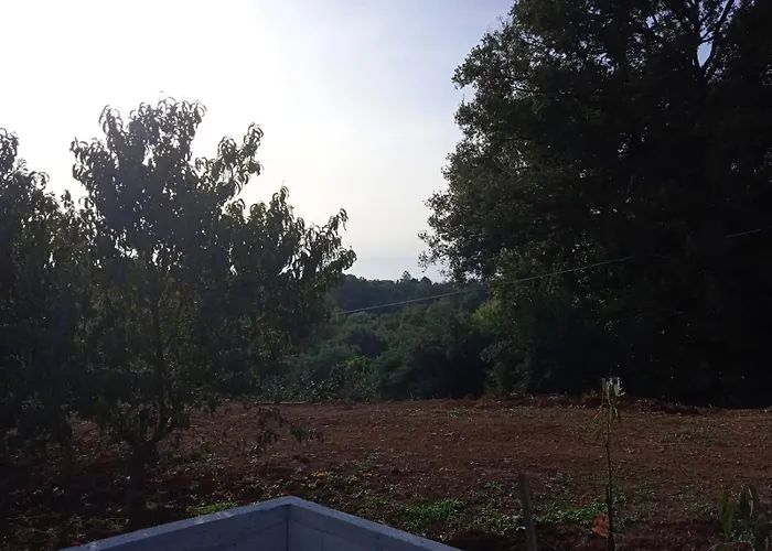B&B Nonno Pino Maierà