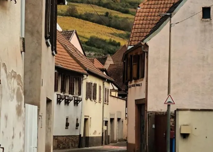 Au Jardin De La Maison Des Soeurs