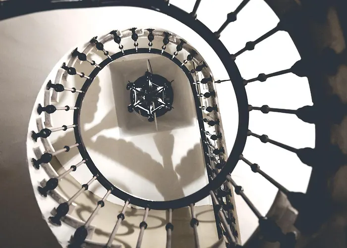 O'palmier Caché