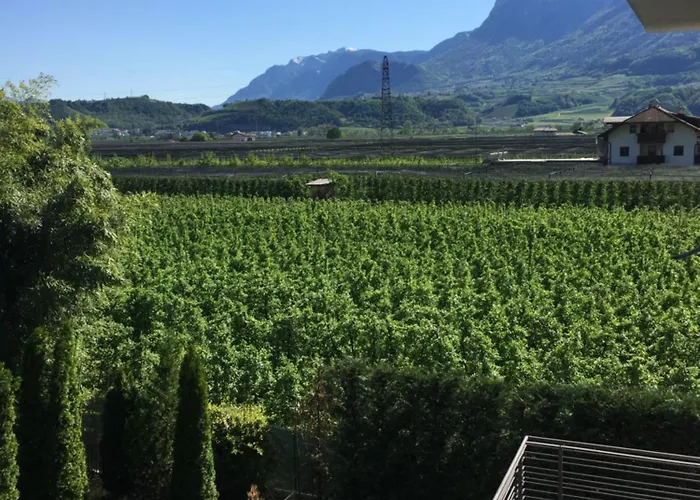 B&B Mele D'Oro Bolzano