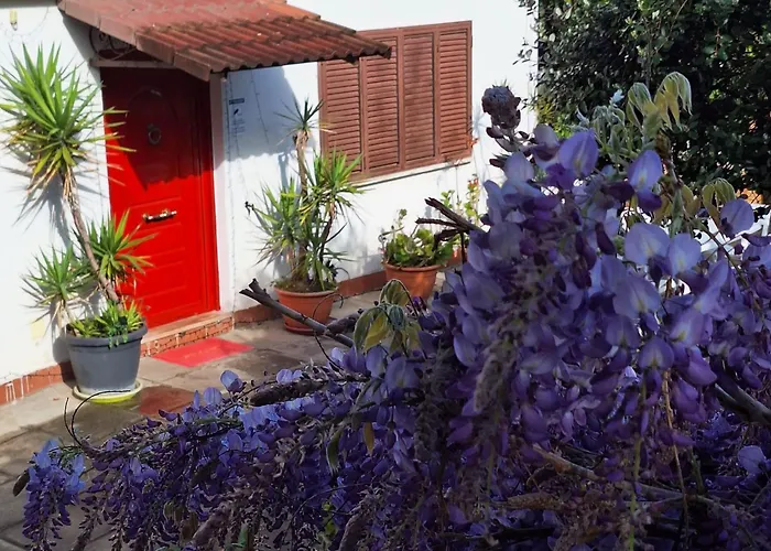 Giallo Limone B&B Salerno