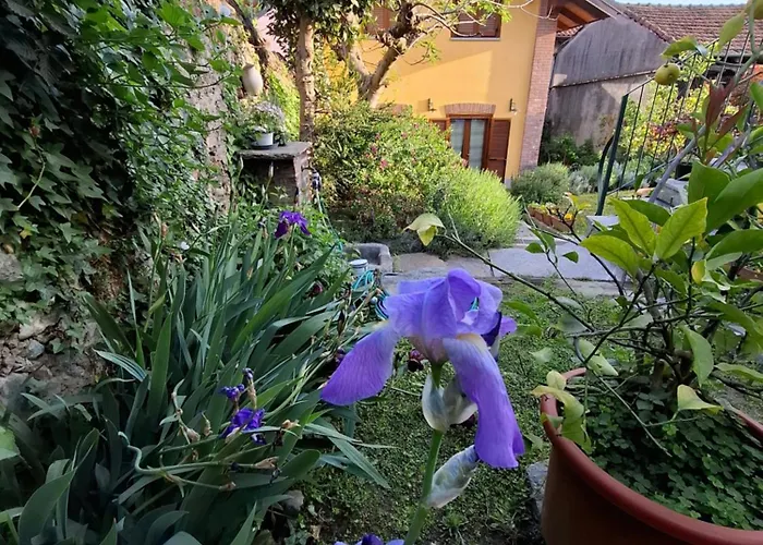 Casa Lavanda Rivoli 