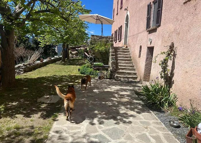 Bed and Breakfast Casa Rosa à Gavignano