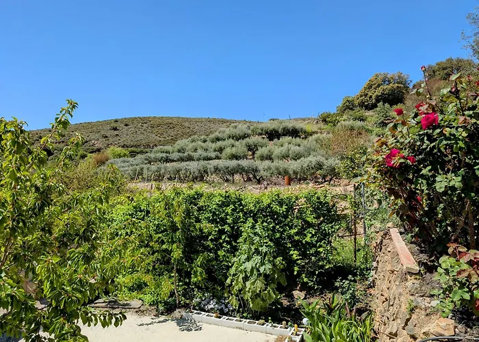 Casa rural para 4 personas, 2 dormitorios y terraza sombreada - El Cortijo Escondido, La Uva