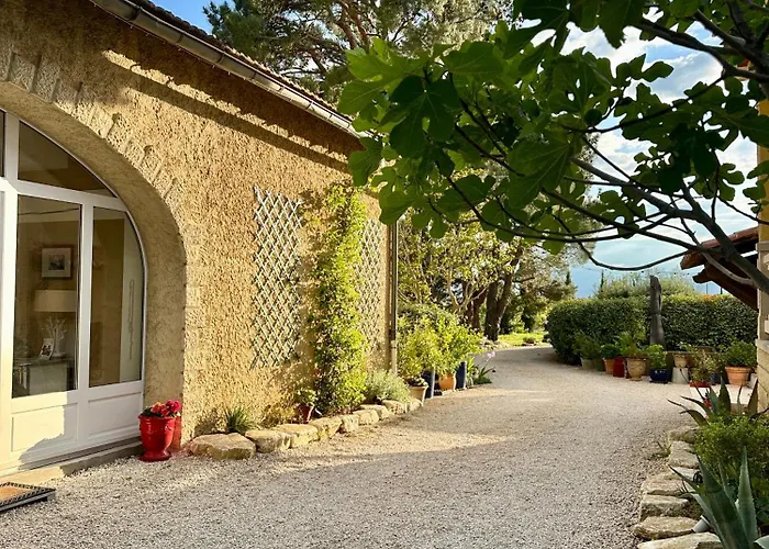 Le Clos Vitis Violès