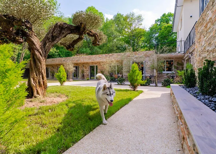 Le Chanelya - Havre de Paix au Coeur de la Forêt Saint-Prix 