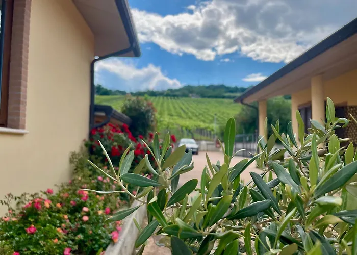 Vigneto - Italian Restaurant&B&B Villa Rosa Di Martinsicuro