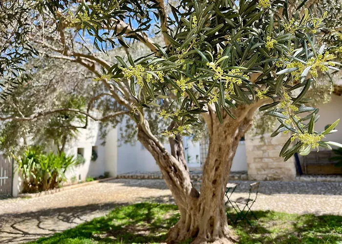Dimora Di Dante Bed and Breakfast Chiaramonte Gulfi