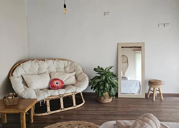 Little Palm Bed & Breakfast San Antonio 