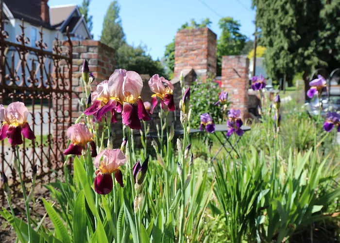 Adams Pragge House - Victorian Bed & Breakfast Port Townsend