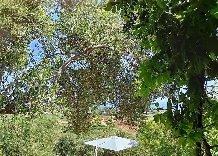 Bed and Breakfast le finestre sul mare Conversano