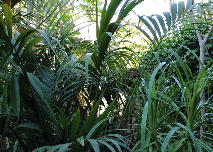 Bed and Breakfast Il Giardino di Chiara Oristano