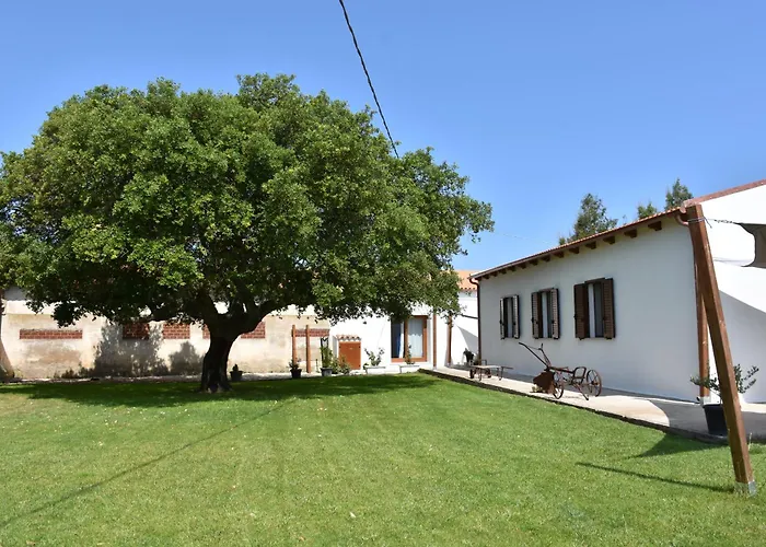 Il Vecchio Casale B&B Sedini