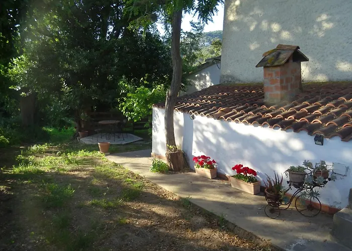 Camera D'Ambra