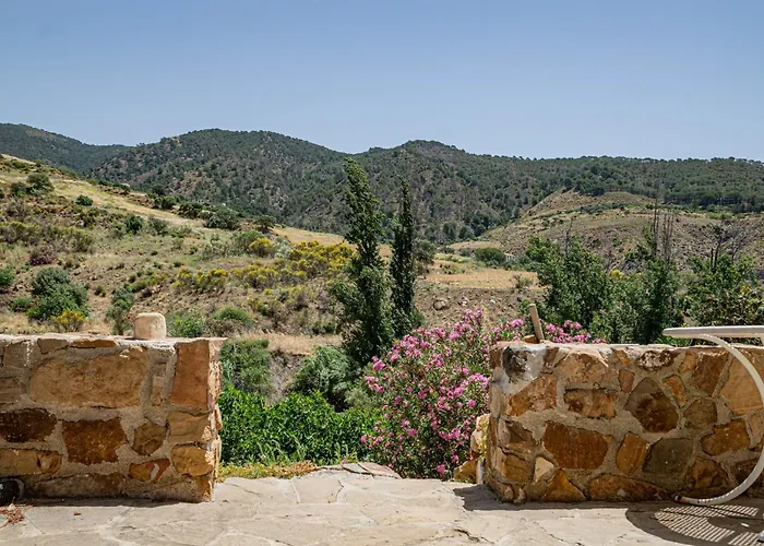 El bufon de la corte
