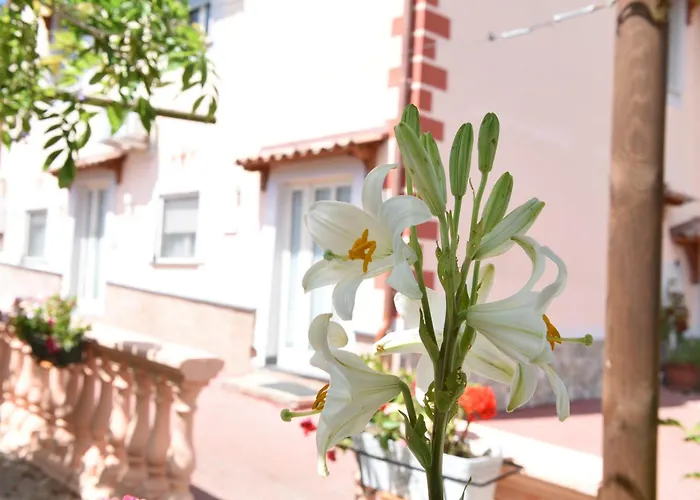 Bed and Breakfast La Casa Dei Desideri Agerola