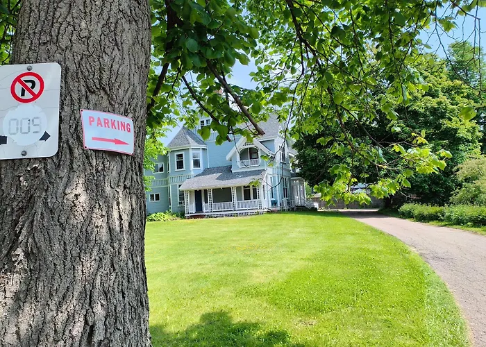 Andy'S Blue House