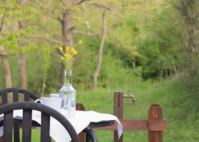 Bed and Breakfast Oak Tree Ranch Lagaro