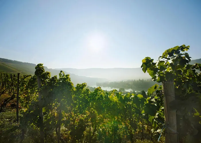 Weingut und Gästehaus Josef Reis Mehring 