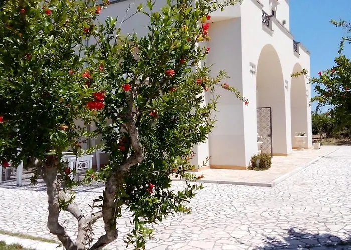 Tenuta Degli Agrumi