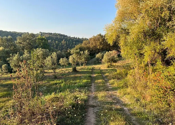 Bed and Breakfast Terra del sorriso Motta Santa Lucia