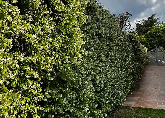 B&B La Dolce Sosta Fonni