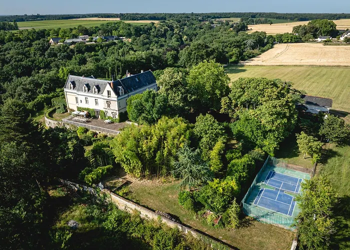 Chateau avec une vue sur la Loire Chènehutte-les-Tuffeaux