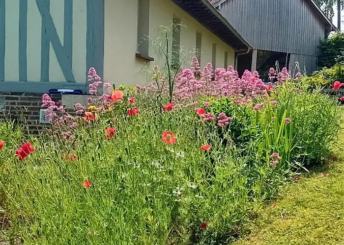 Bed and Breakfast Sous les toits à Dosches