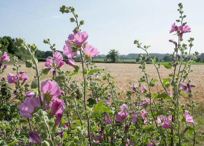 Coeur et Nature Colembert