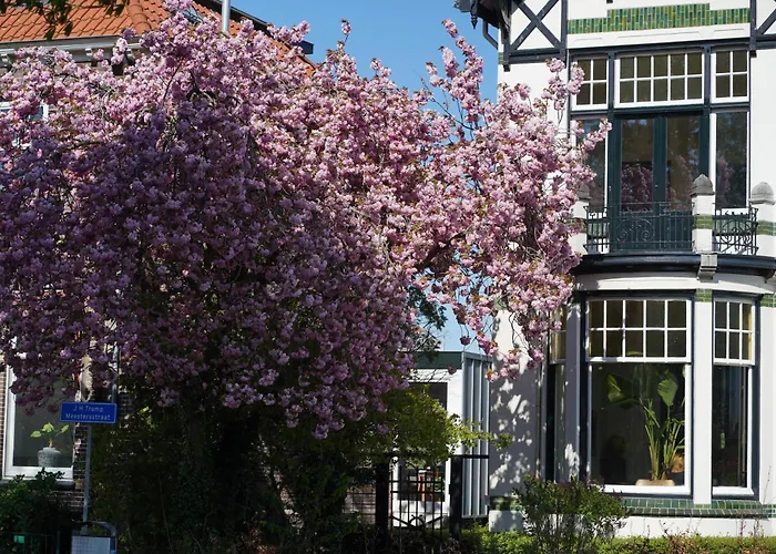 B&B Villa Frisia