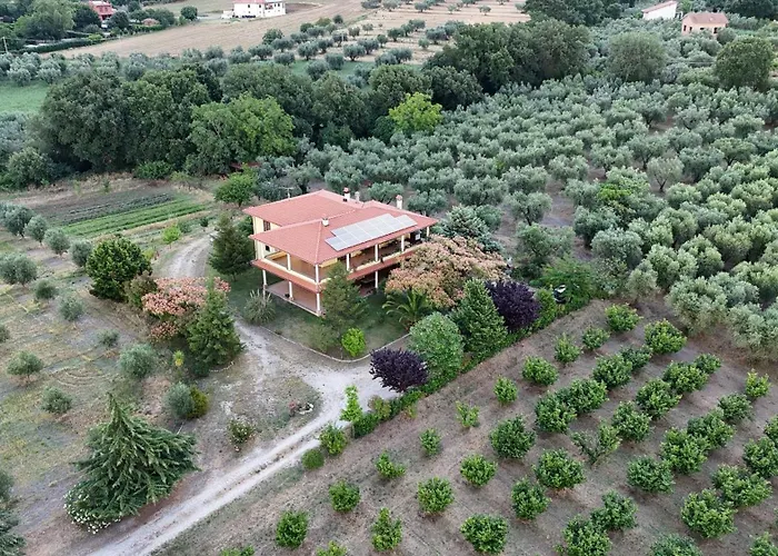 Le Quattro Stagioni