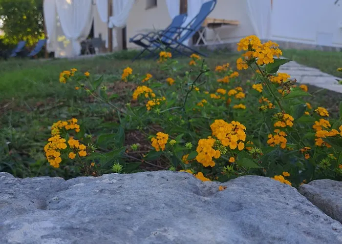 B&B Piccolo Vigneto Otranto