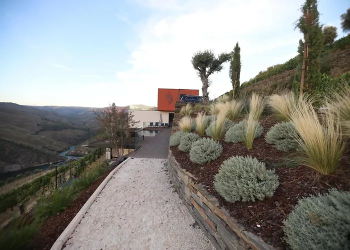 Quinta Vale De Lobos Bed & Breakfast Folgosa 