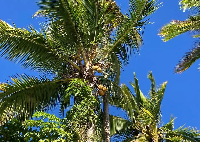 Hilo Bay Oceanfront Bed And Breakfast