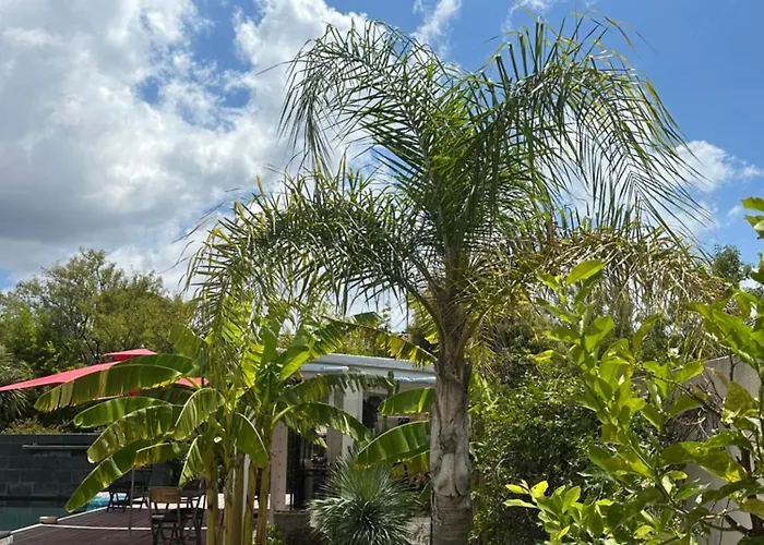 Villa Le Sud Cassis