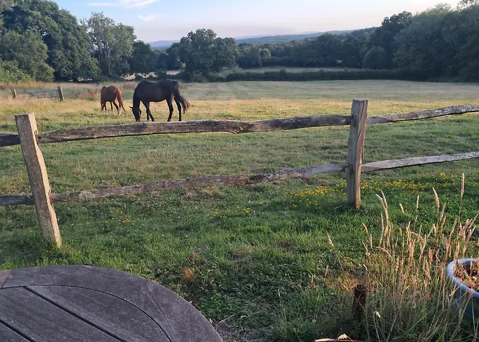 Moaps Farm B&B Support Small Business, Welcome, Check In From 5 Pm